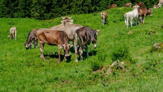 20040626 Oberstdorf 009