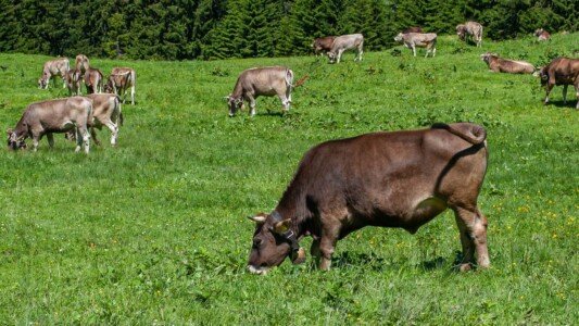 20040626 Oberstdorf 010